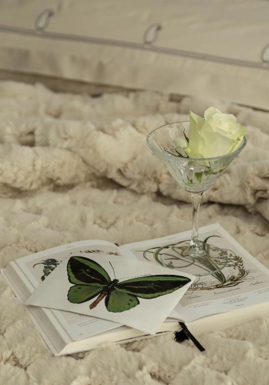 AP DOUBLE BED SPREAD SET SILVERFOX ECRU