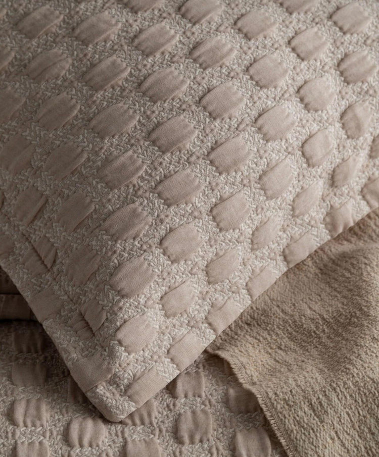 AP DOUBLE TIMELESS Set - Trona Beige