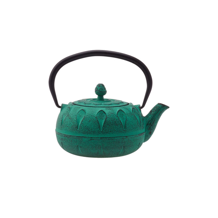 KARACA GREENISH CAST IRON TEAPOT 600 ML, GREEN